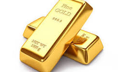 Premium Gold 48g